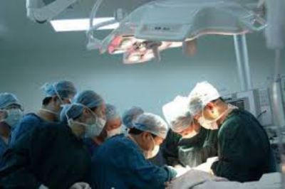 ORGAN NAKLİ